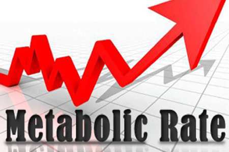 Metabolic-rate